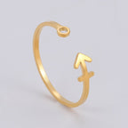 Anillo Signo del Zodiaco 12 Constelaciones