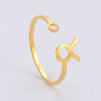 Anillo Signo del Zodiaco 12 Constelaciones