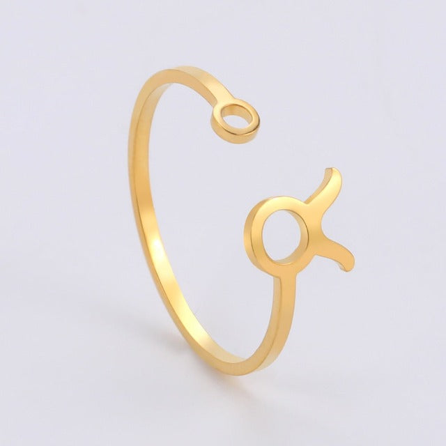 Anillo Signo del Zodiaco 12 Constelaciones